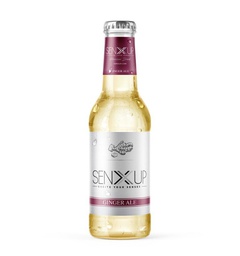 [Pos00631] مشروب الزنجبيل الغازي - Ginger Ale